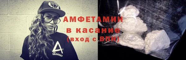 индика Арсеньев