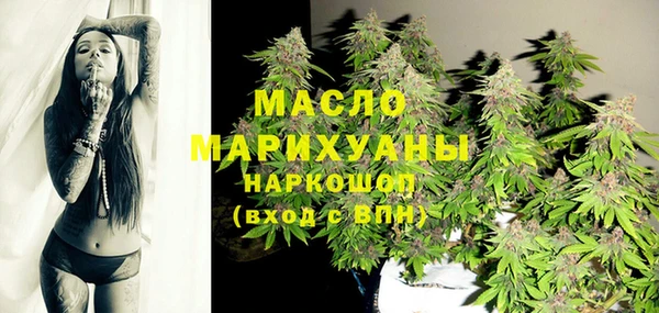 индика Арсеньев