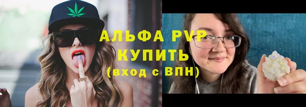 индика Арсеньев