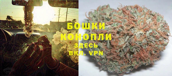 хмурый Аркадак