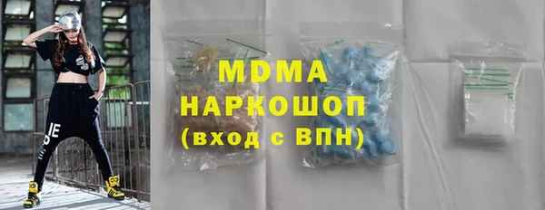 хмурый Аркадак