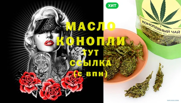 индика Арсеньев