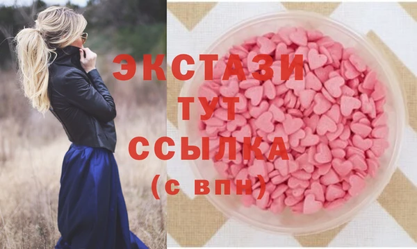 индика Арсеньев