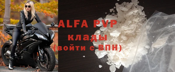 индика Арсеньев