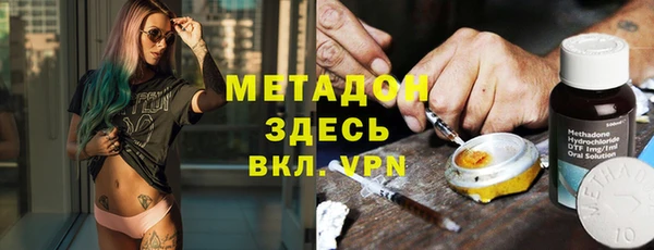 хмурый Аркадак